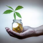 What is an alternative investment