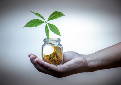 What is an alternative investment