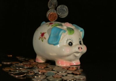 How to deal with an investment scam