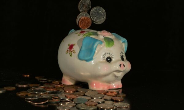 How to deal with an investment scam