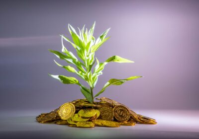 How safe are alternative investments