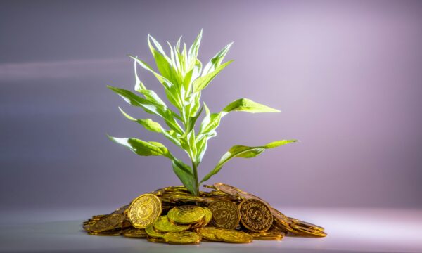 How safe are alternative investments