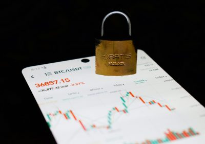 How does an investment scam work