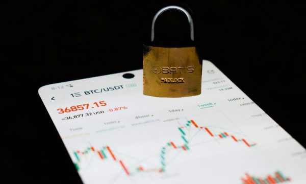 How does an investment scam work
